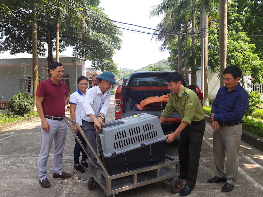 Vườn[-]Quốc[-]giaCát[-]Bà[-]chuyển[-]giao[-]02[-]cá[-]thể[-]khỉ[-]cho[-]Trung[-]tâm[-]cứu[-]hộ[-]động[-]vật[-]hoang[-]dã[-]Hà[-]Nội